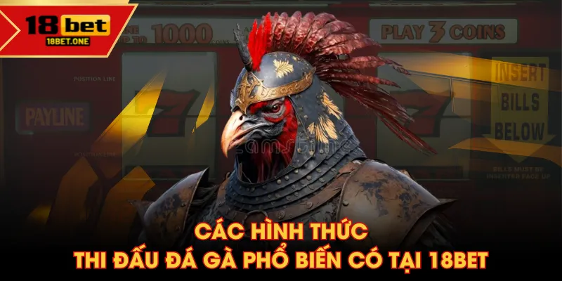 Các hình thức thi đấu đá gà phổ biến có tại 18BET Các hình thức thi đấu đá gà phổ biến có tại 18BET