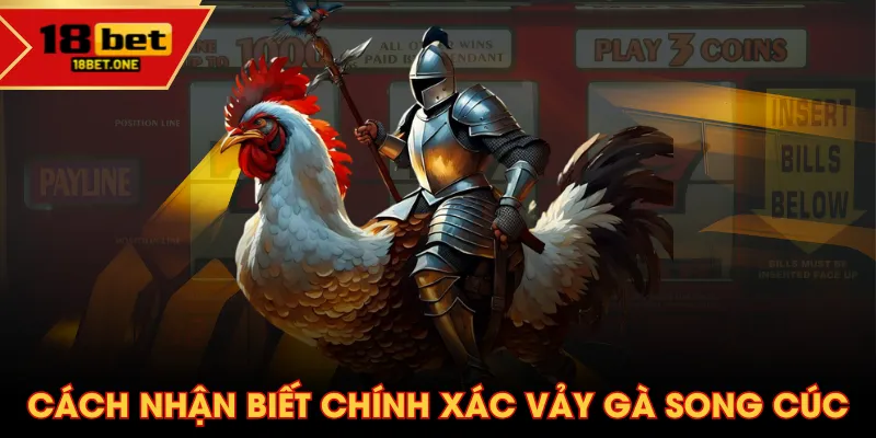Cách nhận biết chính xác vảy gà song cúc Cách nhận biết chính xác vảy gà song cúc