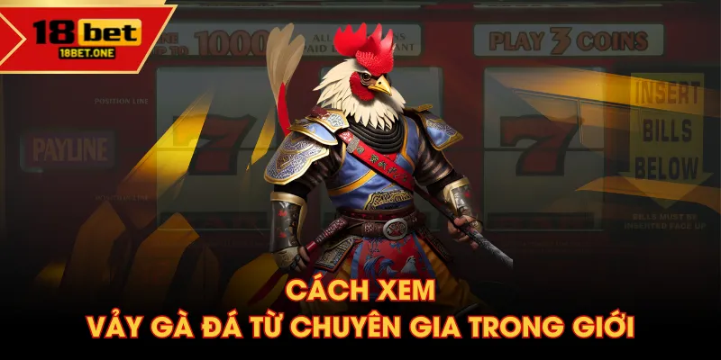 Cách xem vảy gà đá từ chuyên gia trong giới