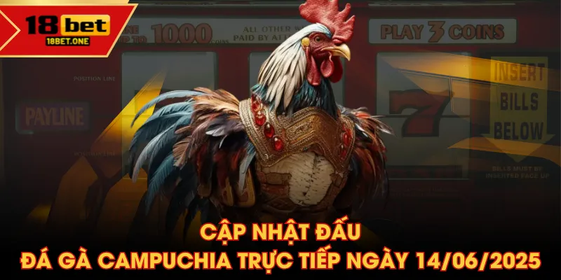 Cập nhật đấu đá gà Campuchia trực tiếp ngày 14/06/2025 Cập nhật đấu đá gà Campuchia trực tiếp ngày 14/06/2025