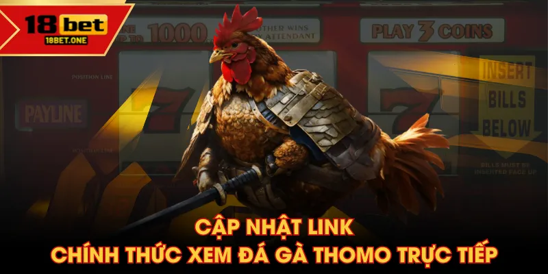 Cập nhật link chính thức xem đá gà Thomo trực tiếp Cập nhật link chính thức xem đá gà Thomo trực tiếp