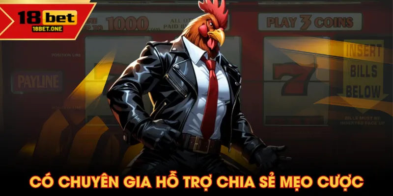 Có chuyên gia hỗ trợ chia sẻ mẹo cược Có chuyên gia hỗ trợ chia sẻ mẹo cược