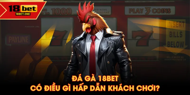 Đá Gà 18BET có điều gì hấp dẫn khách chơi? Đá Gà 18BET có điều gì hấp dẫn khách chơi?