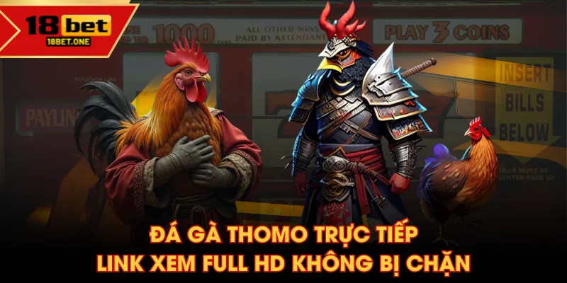 đá gà Thomo trực tiếp