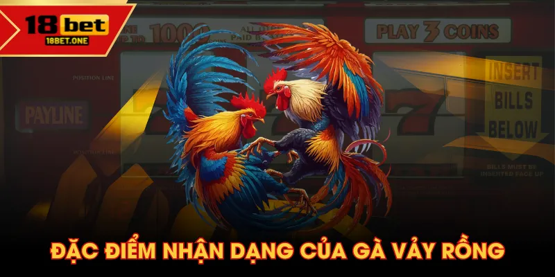 Đặc điểm nhận dạng của gà vảy rồng Đặc điểm nhận dạng của gà vảy rồng