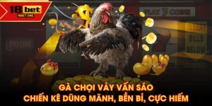 Gà chọi vảy vấn sáo