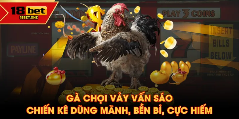 Gà chọi vảy vấn sáo