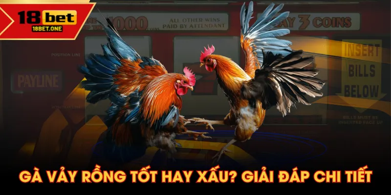 Gà vảy rồng tốt hay xấu? Giải đáp chi tiết Gà vảy rồng tốt hay xấu? Giải đáp chi tiết