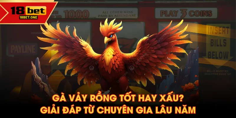 Gà vảy rồng tốt hay xấu