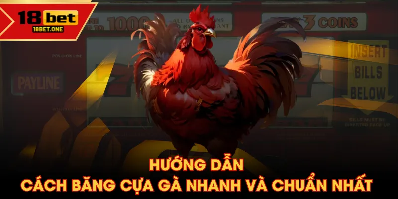 Hướng dẫn cách băng cựa gà nhanh và chuẩn nhất