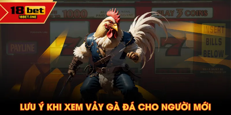 Lưu ý khi xem vảy gà đá cho người mới