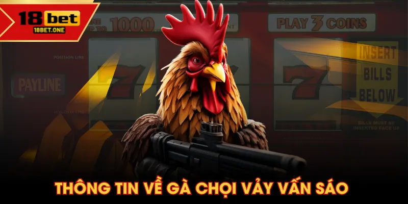 Thông tin về gà chọi vảy vấn sáo Thông tin về gà chọi vảy vấn sáo