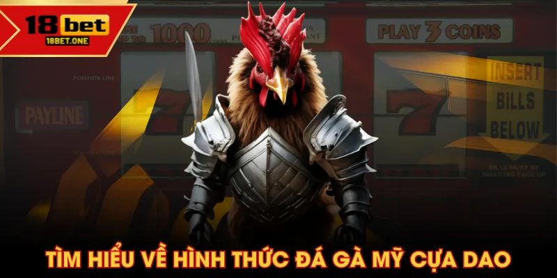Tìm hiểu về hình thức đá gà Mỹ cựa dao Tìm hiểu về hình thức đá gà Mỹ cựa dao
