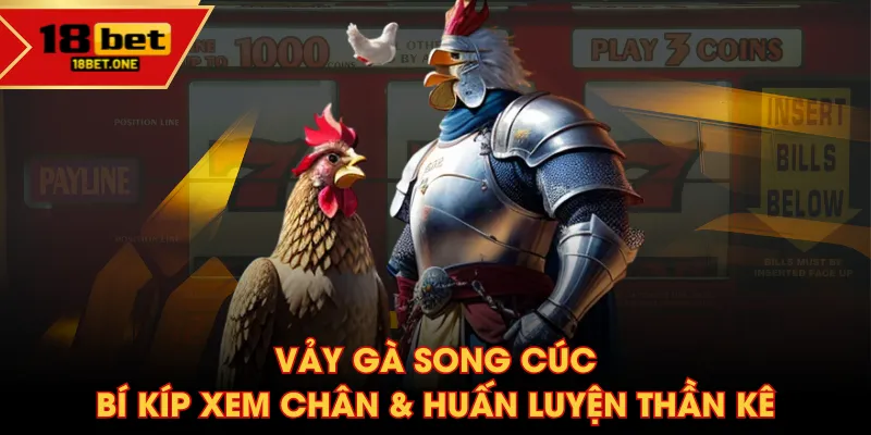 Vảy gà song cúc