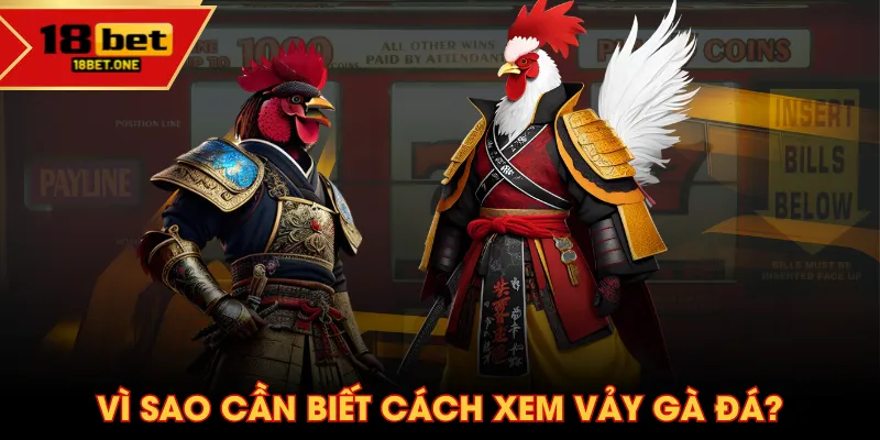 Vì sao cần biết cách xem vảy gà đá?