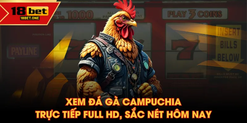 đá gà Campuchia trực tiếp