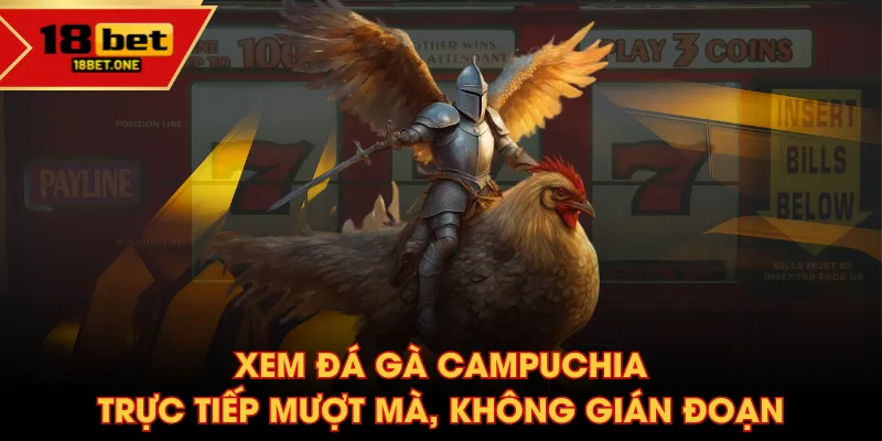 Xem đá gà Campuchia trực tiếp mượt mà, không gián đoạn Xem đá gà Campuchia trực tiếp mượt mà, không gián đoạn